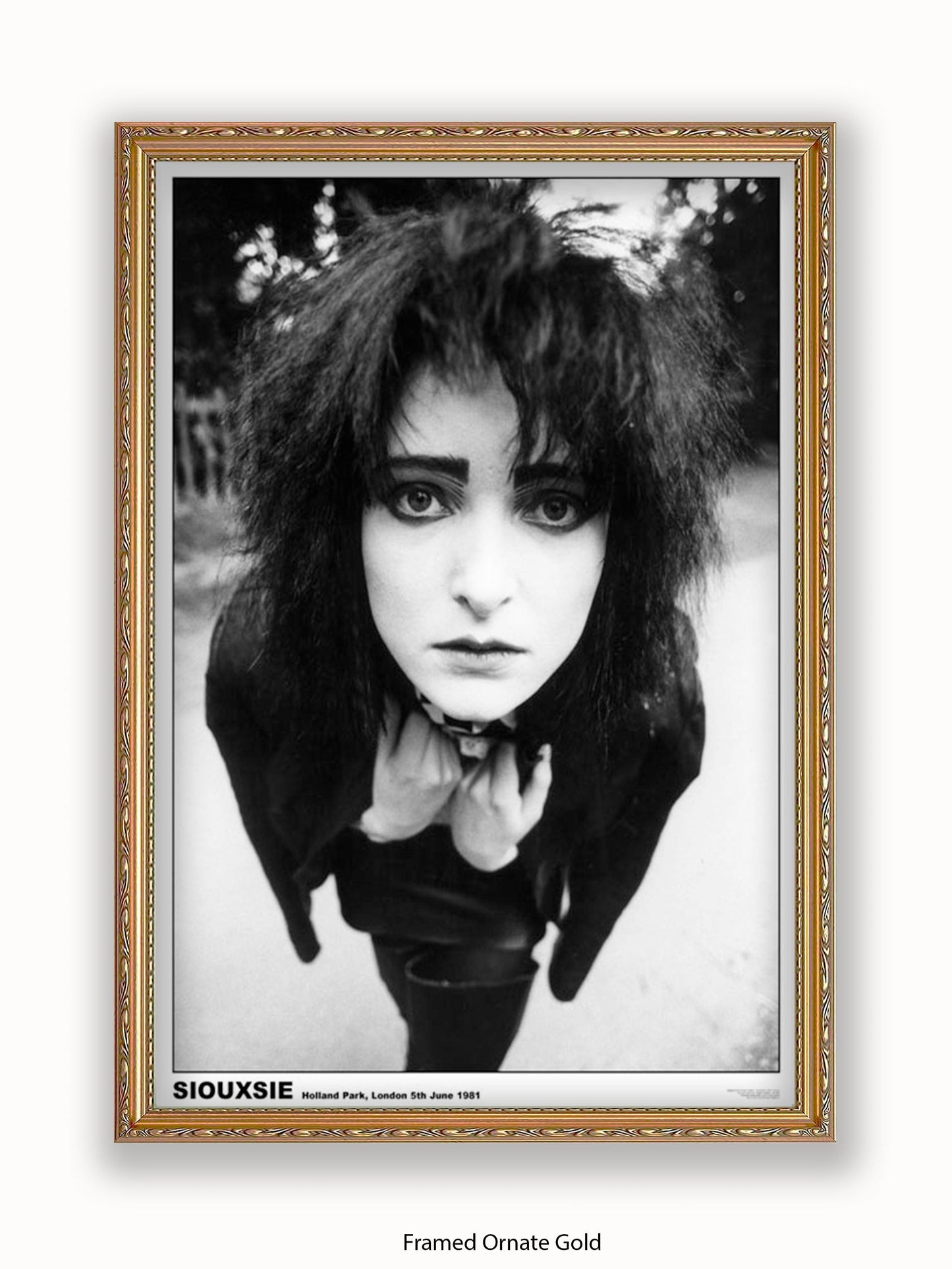 Siouxsie - Holland Park 1981 - Poster