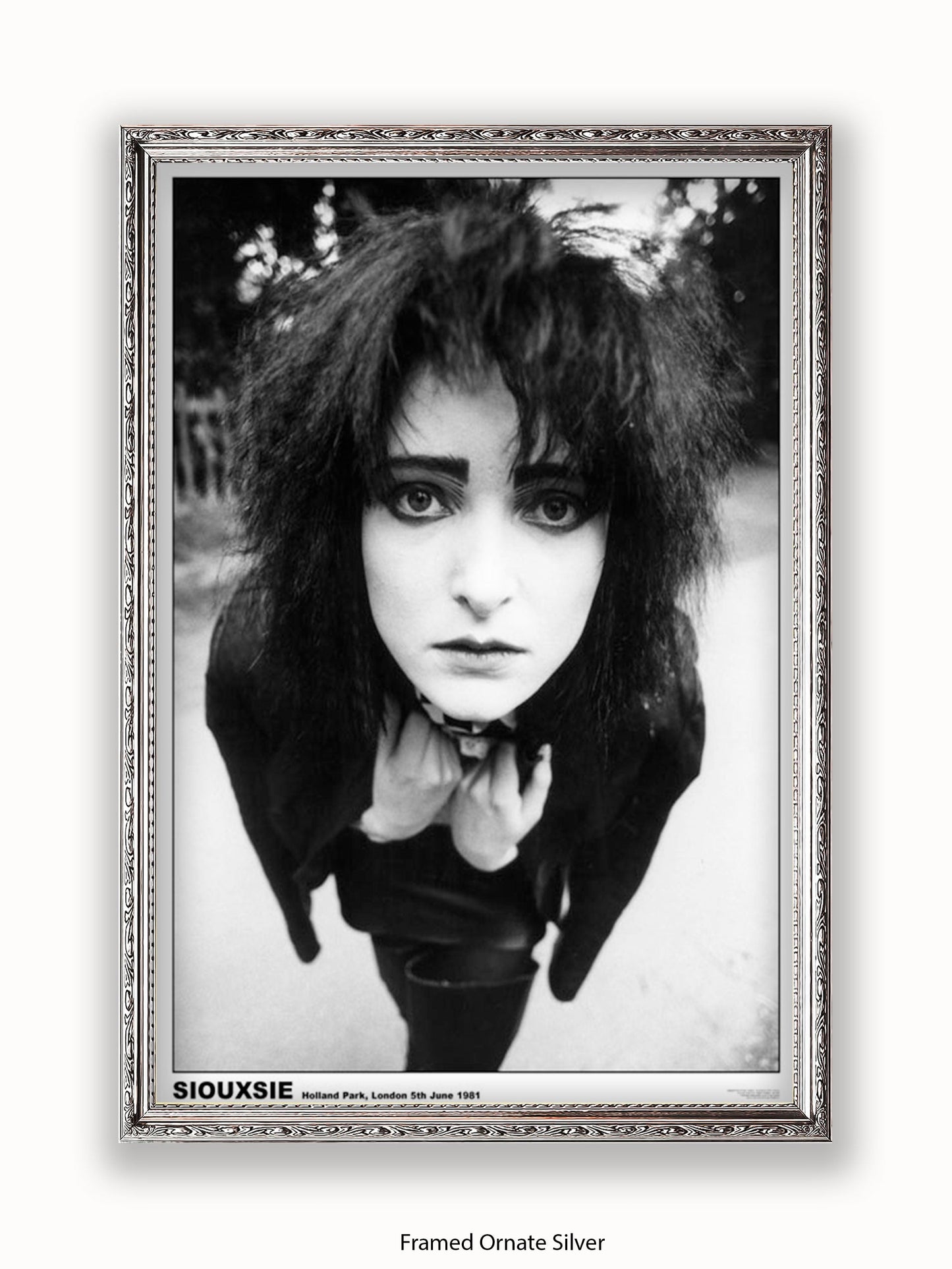 Siouxsie - Holland Park 1981 - Poster
