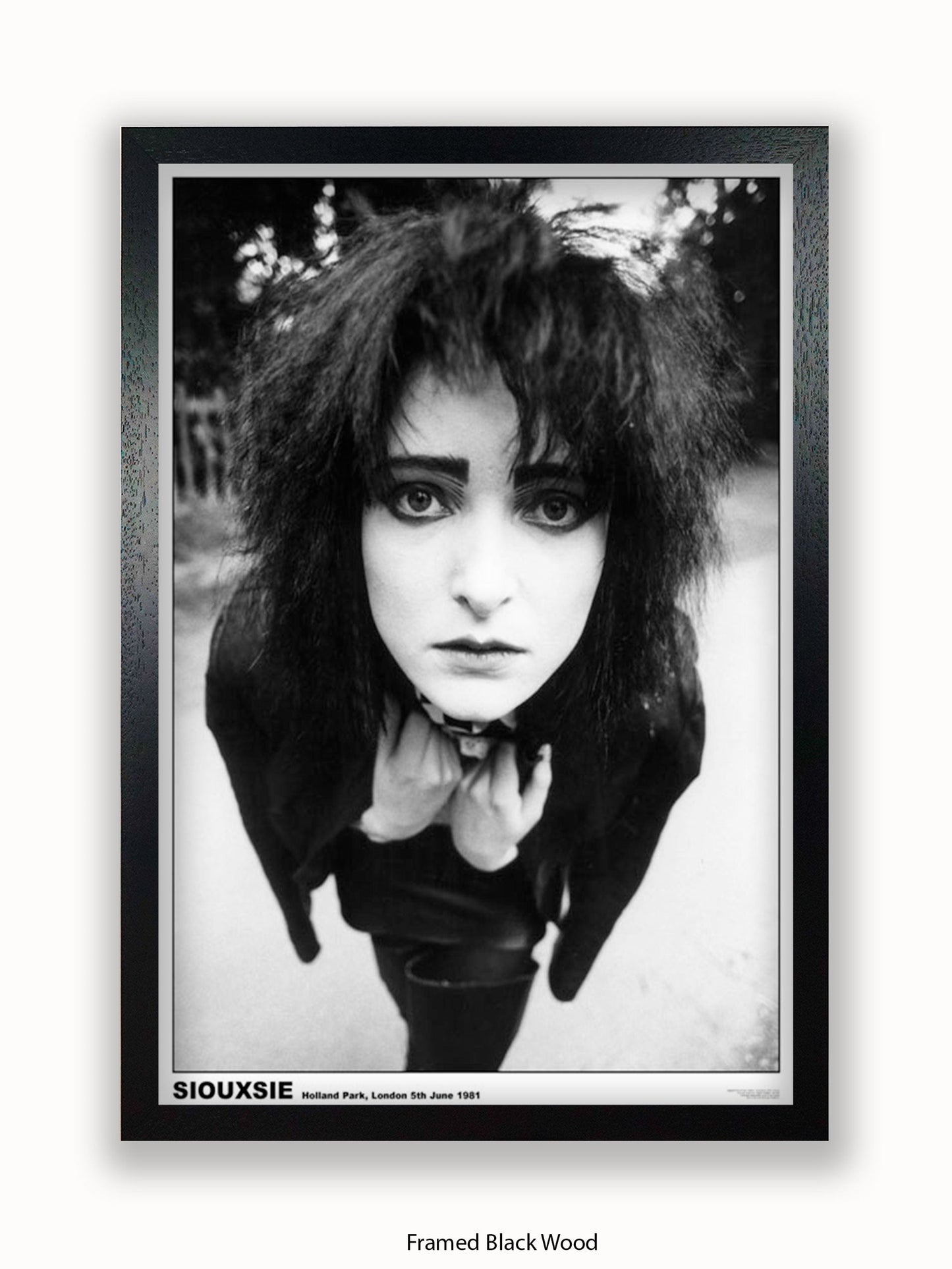 Siouxsie - Holland Park 1981 - Poster