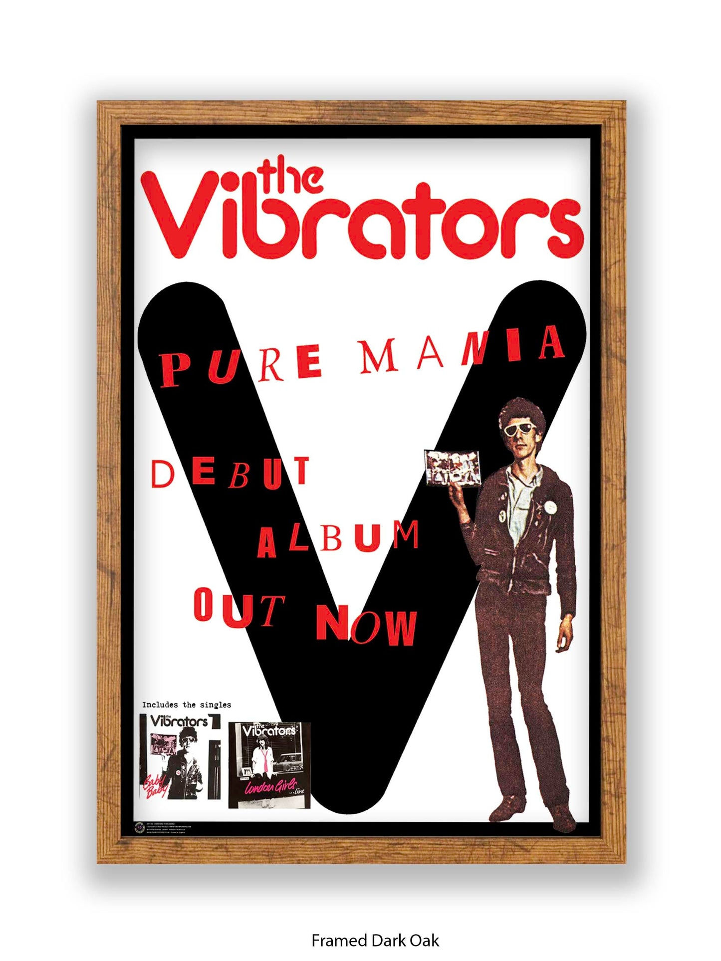 Vibrators - Pure Mania - Poster