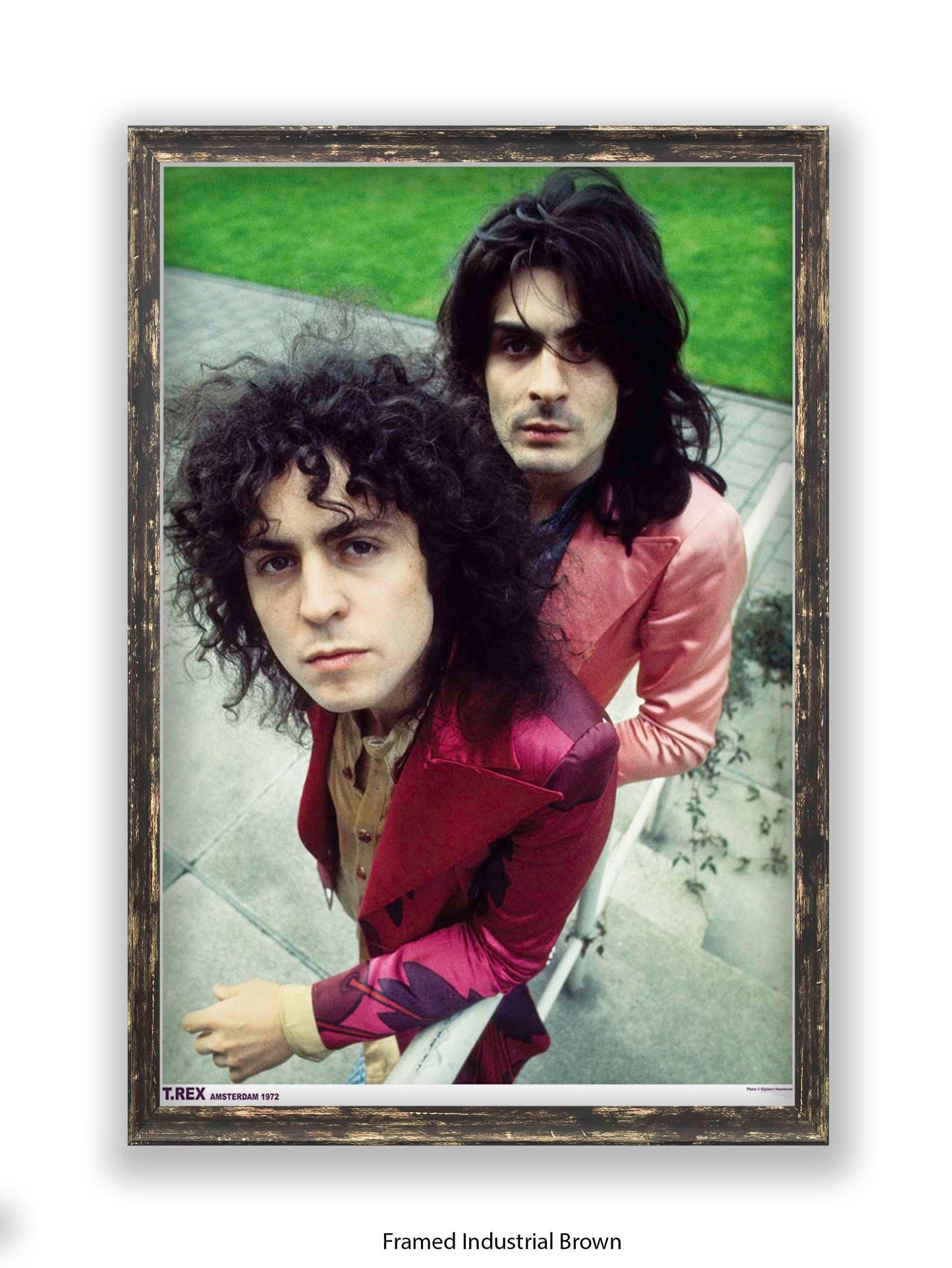 T.Rex - Amsterdam 1972 - Poster