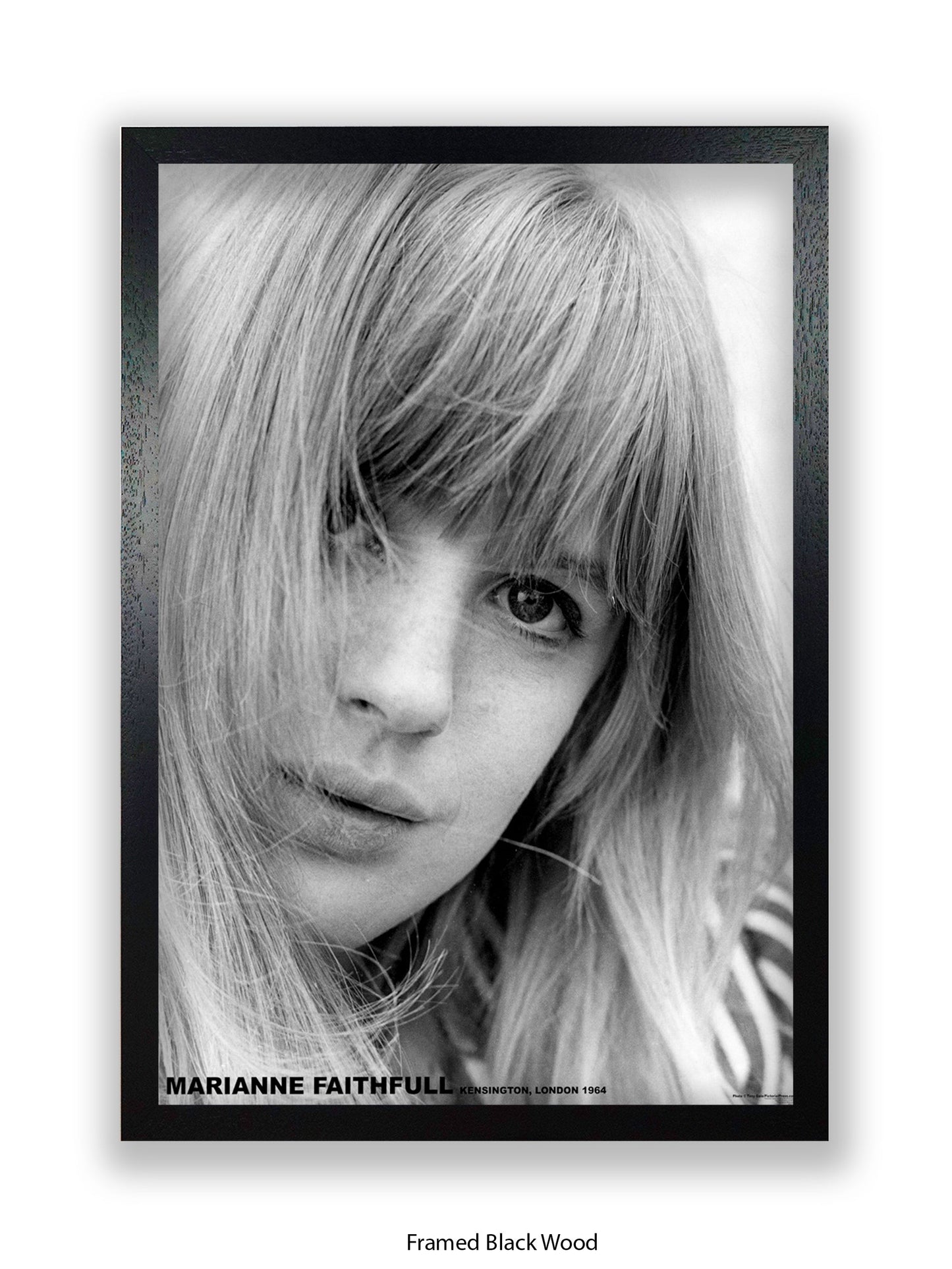 Marianne Faithfull - Kensington London 1964 - Poster