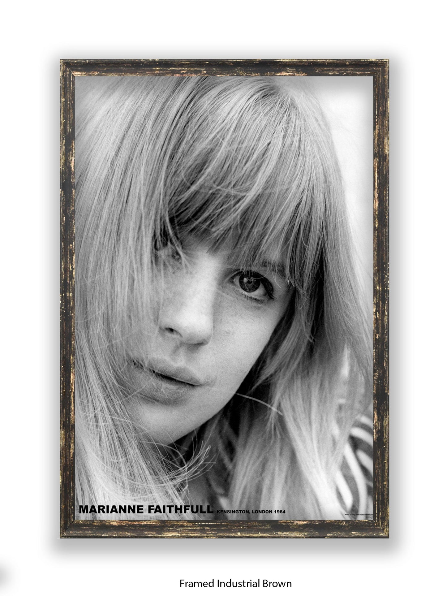 Marianne Faithfull - Kensington London 1964 - Poster