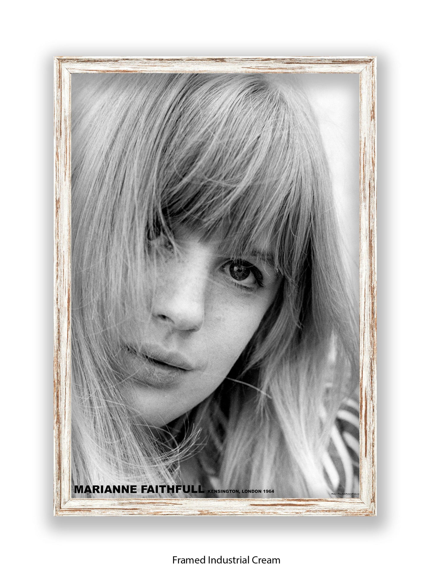 Marianne Faithfull - Kensington London 1964 - Poster