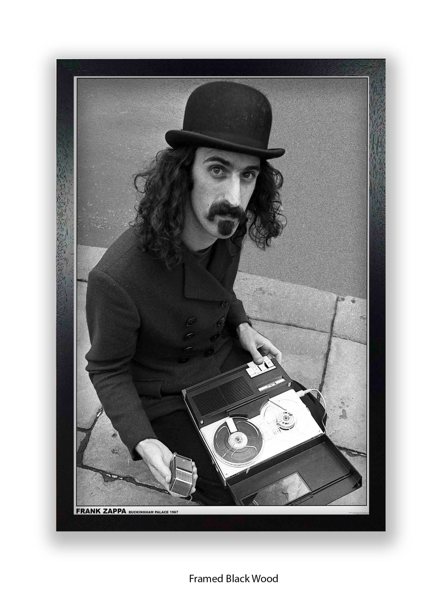 Frank Zappa - Buckingham Palace 1967 - Poster