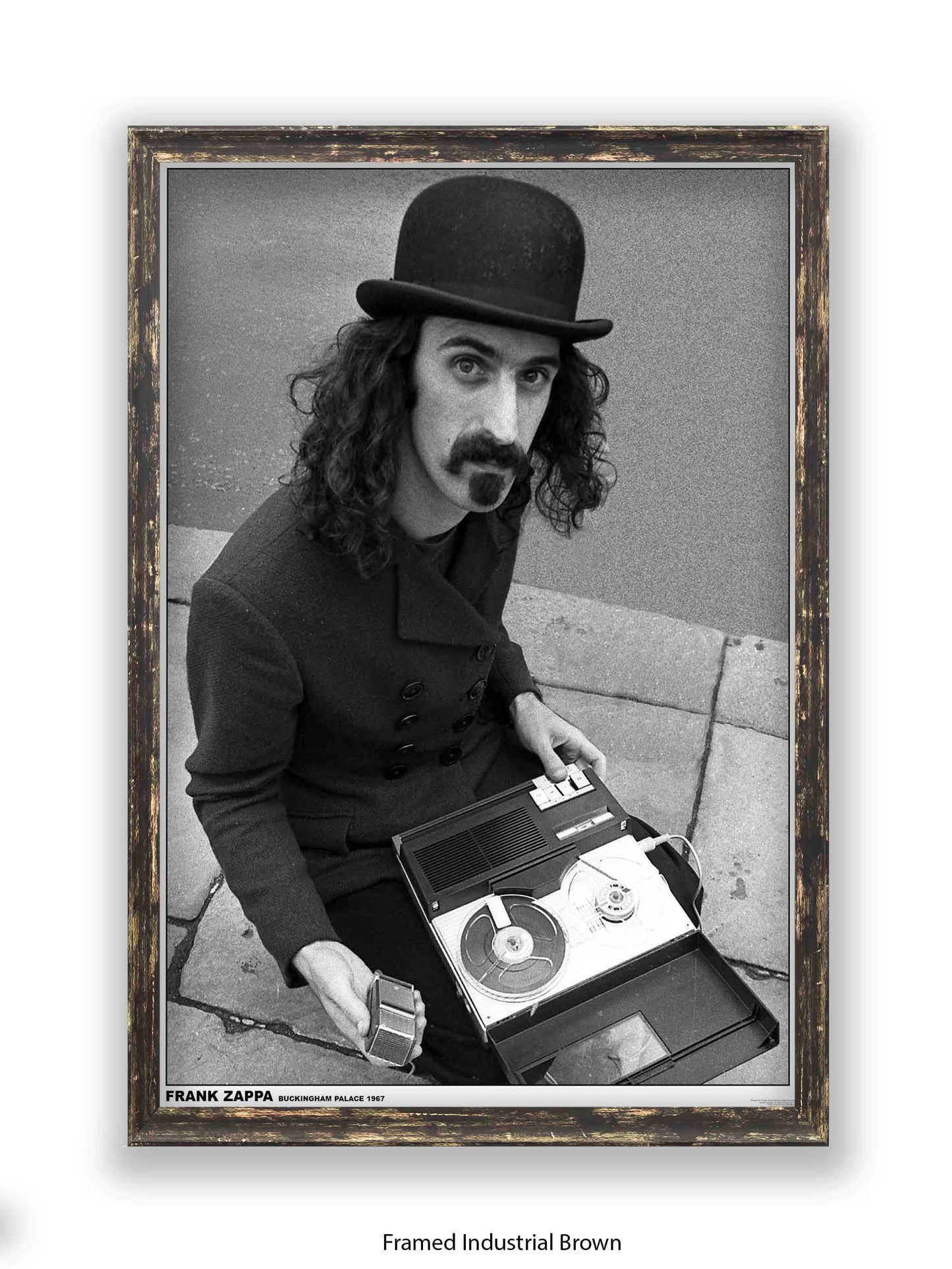 Frank Zappa - Buckingham Palace 1967 - Poster