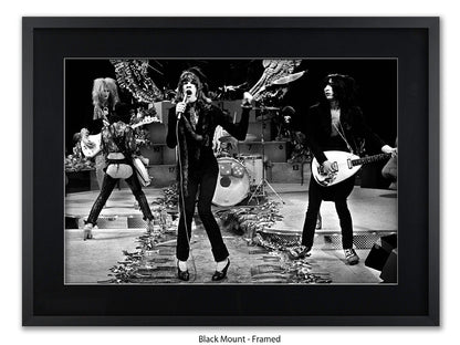 New York Dolls Hilversum 1973 Poster