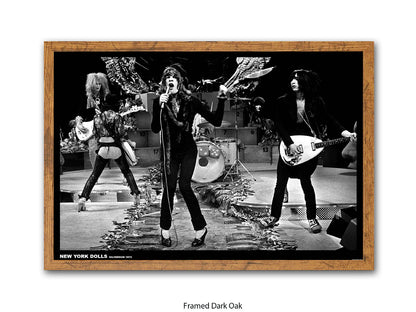 New York Dolls Hilversum 1973 Poster