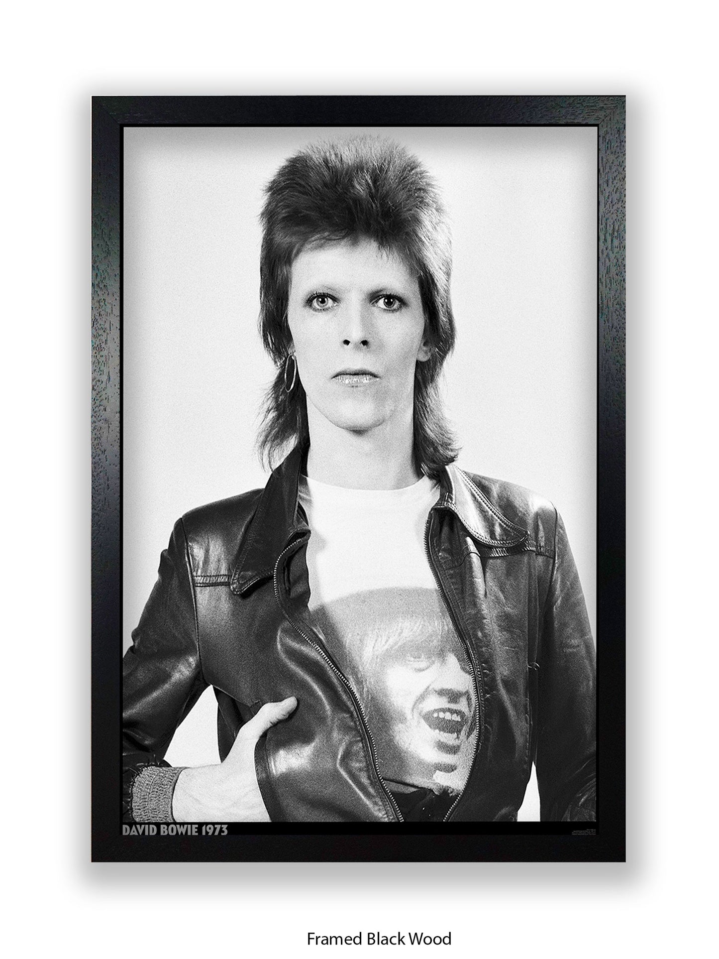 David Bowie - Leather Jacket - 1973 - Poster