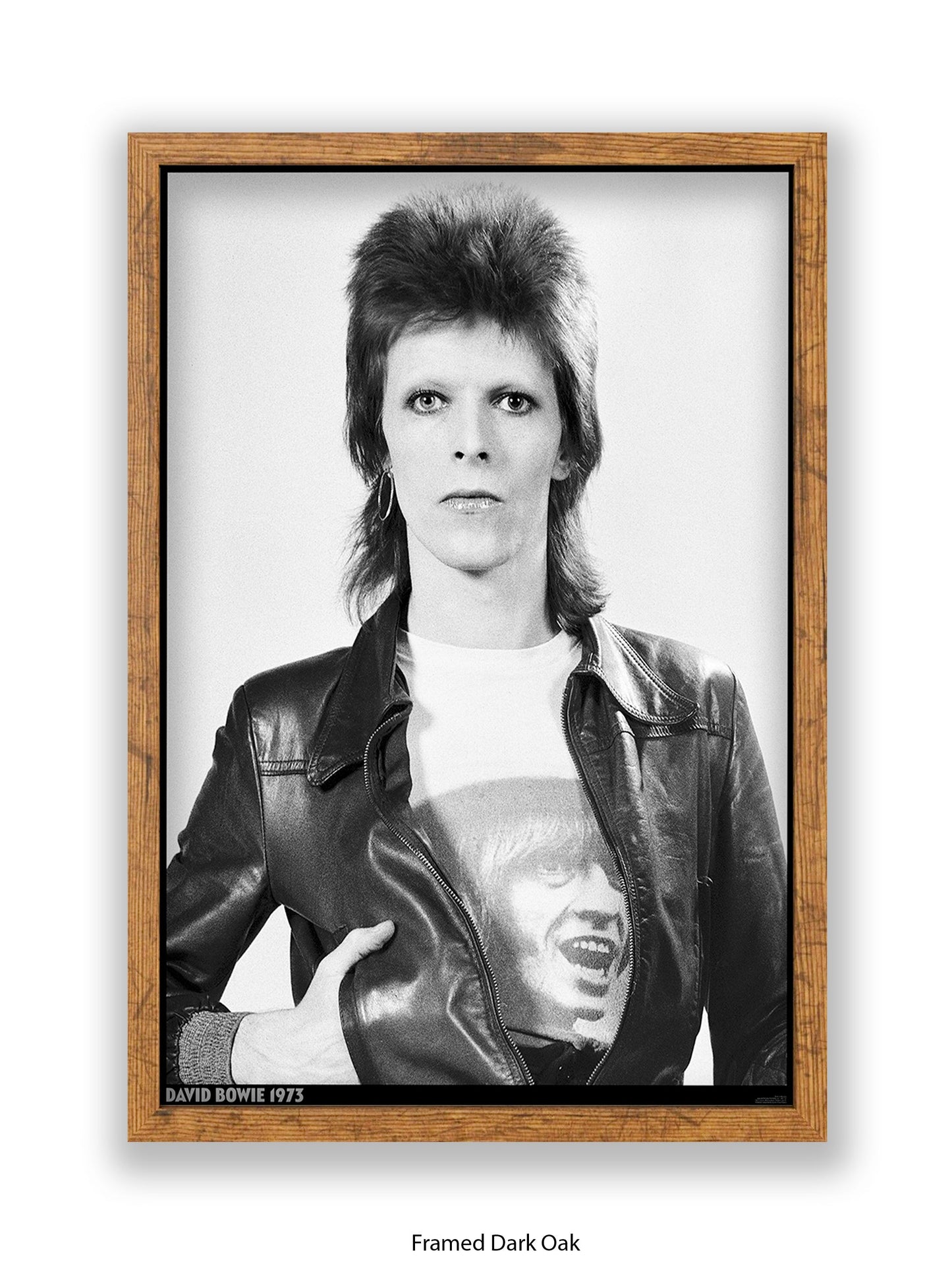 David Bowie - Leather Jacket - 1973 - Poster