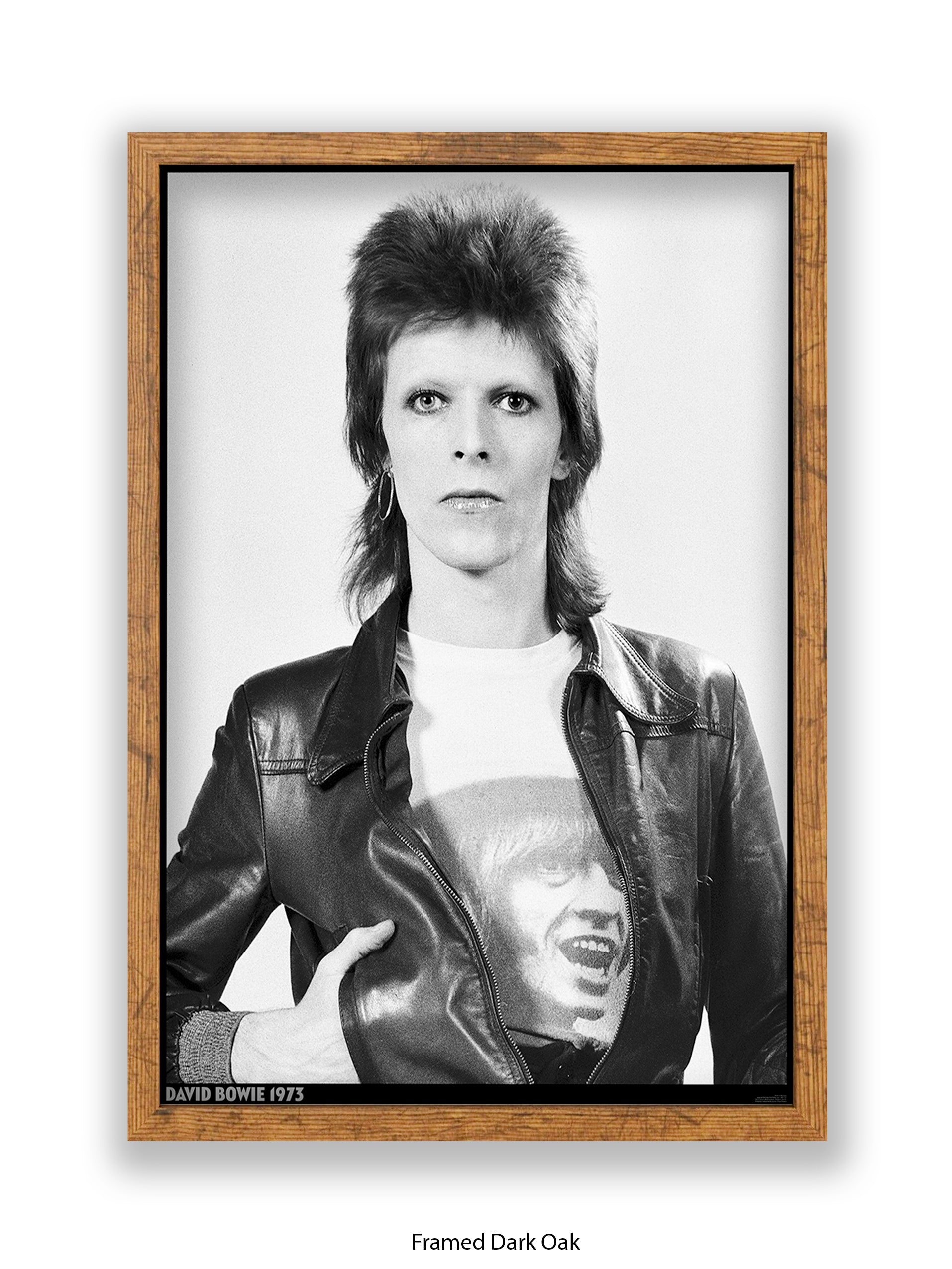 One stellar year for David Bowie, captured by Mick Rock, image size:1913x2550