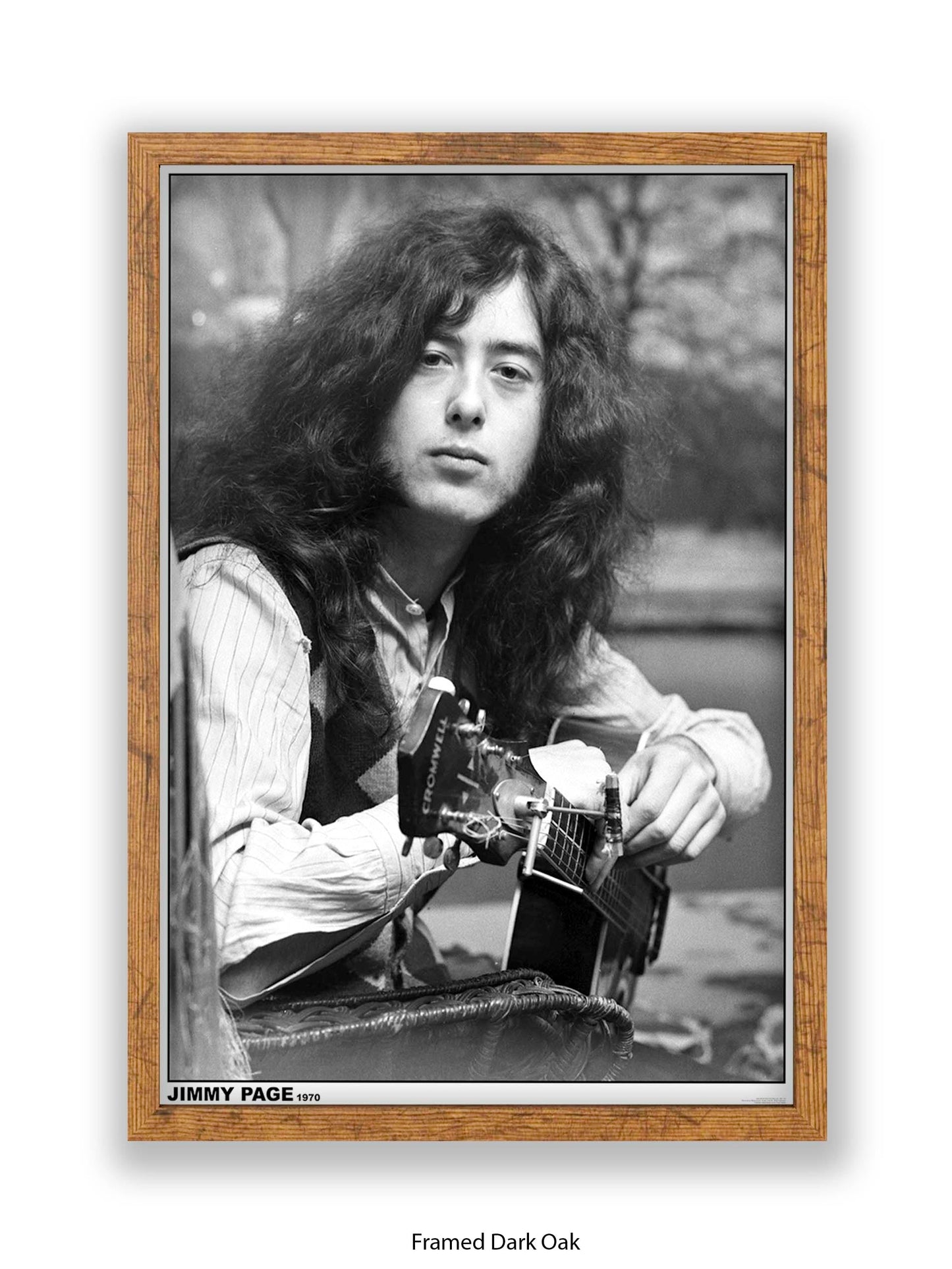 Led Zeppelin - Jimmy Page - 1970 - Poster