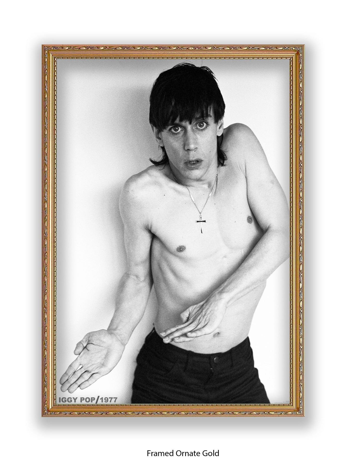 Iggy Pop - 1977 - Poster