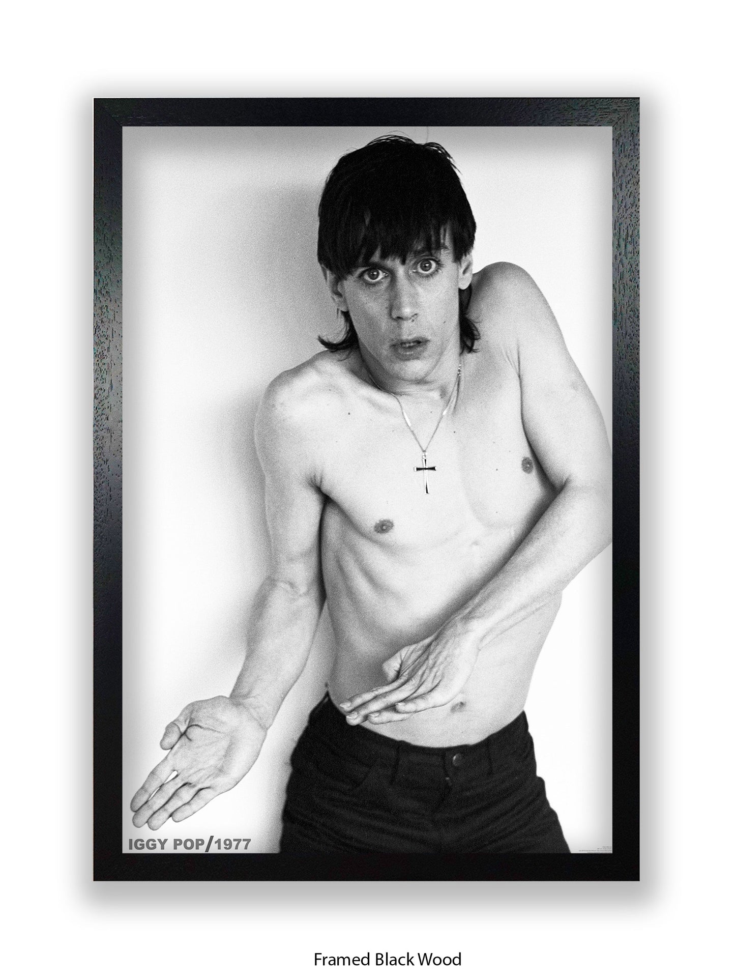Iggy Pop - 1977 - Poster