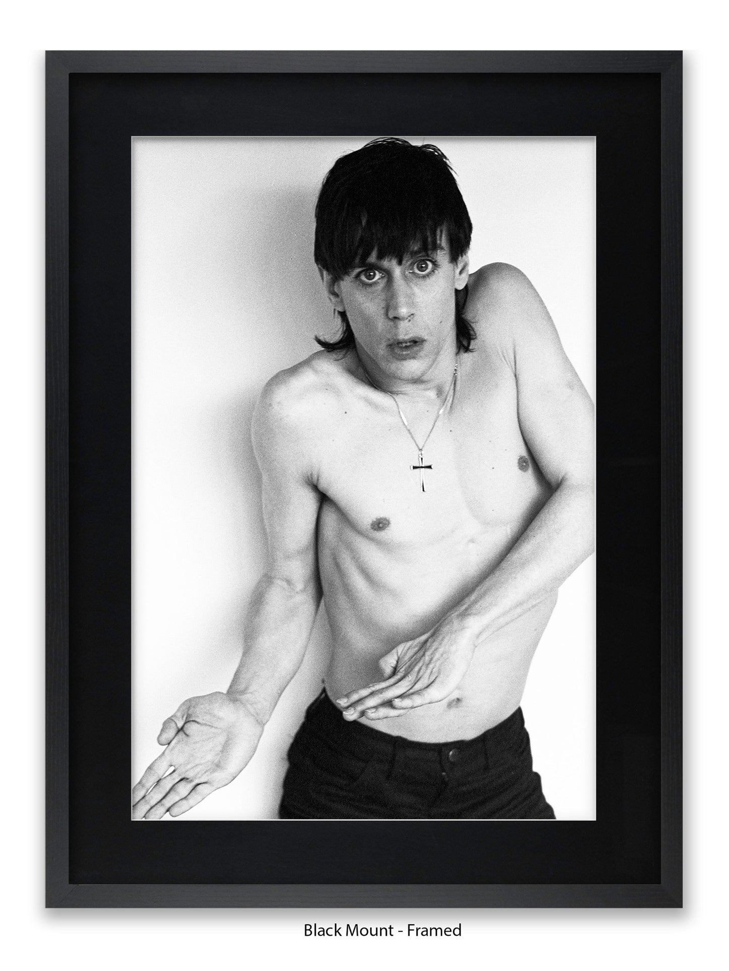 Iggy Pop - 1977 - Poster