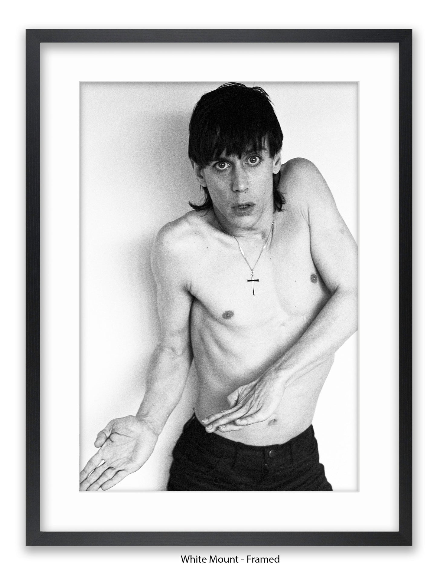 Iggy Pop - 1977 - Poster
