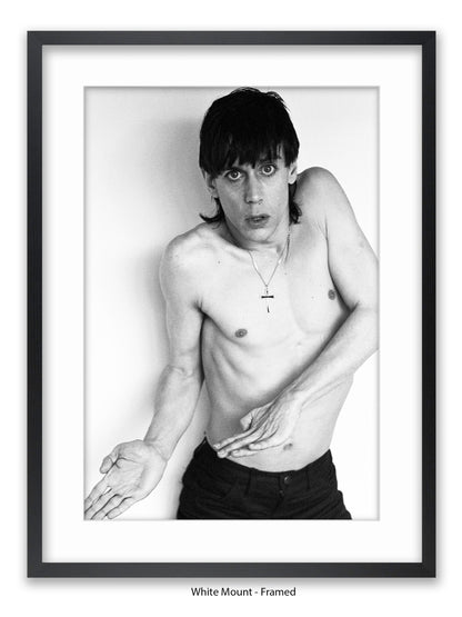 Iggy Pop - 1977 - Poster