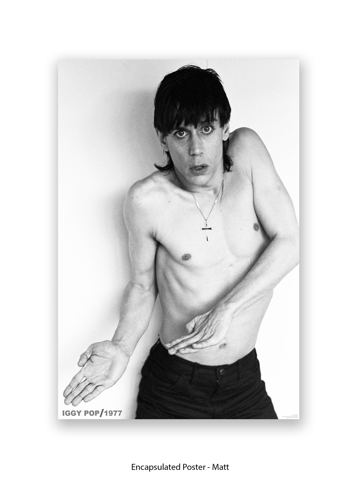 Iggy Pop - 1977 - Poster