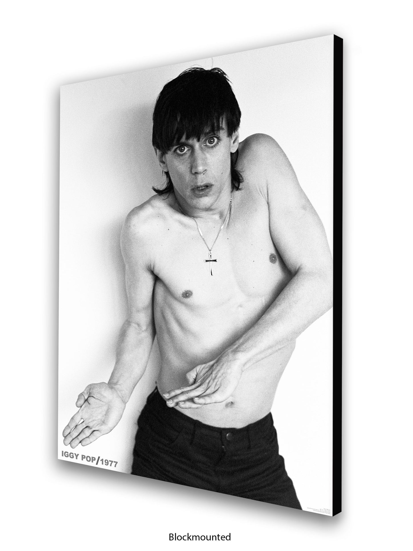 Iggy Pop - 1977 - Poster