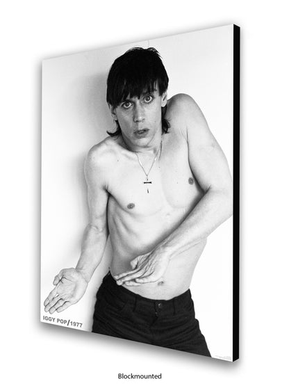 Iggy Pop - 1977 - Poster