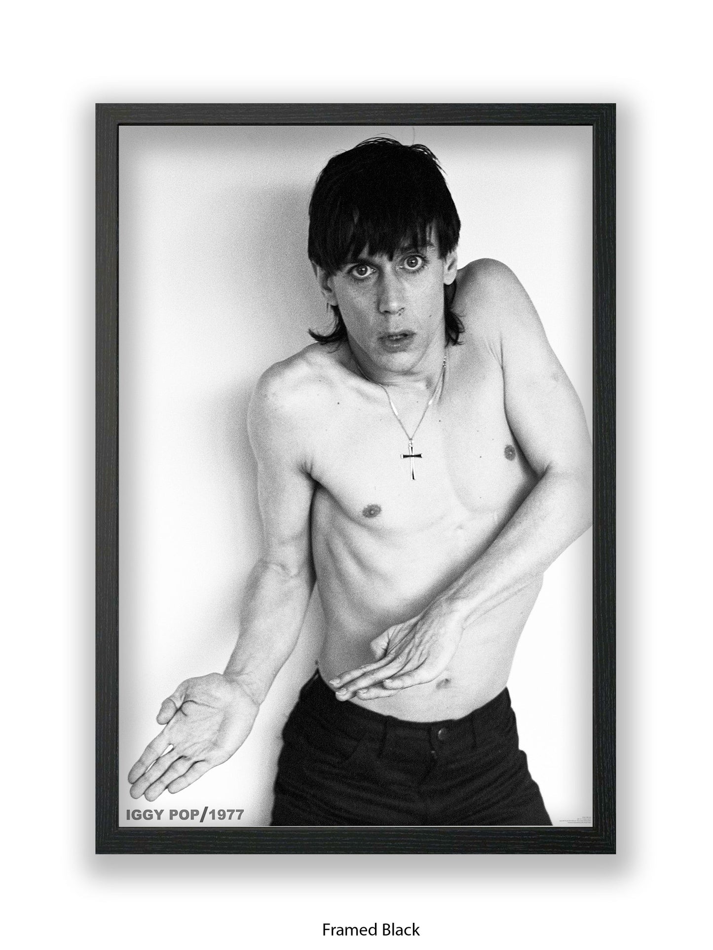 Iggy Pop - 1977 - Poster