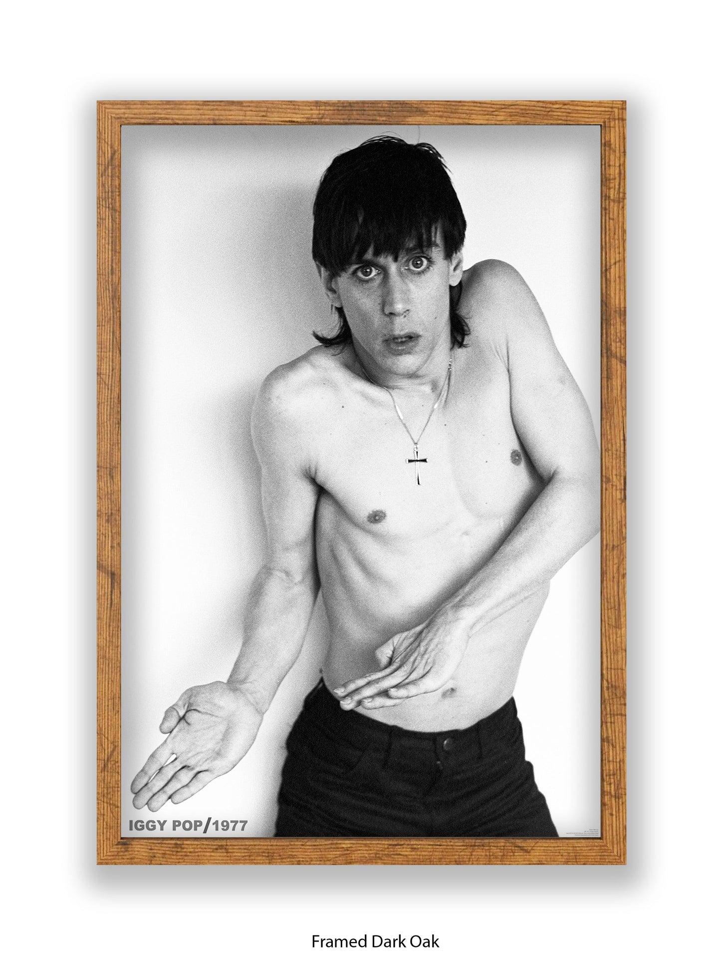 Iggy Pop - 1977 - Poster