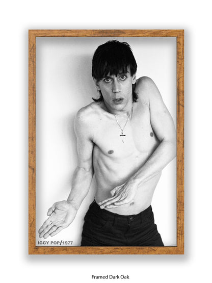Iggy Pop - 1977 - Poster