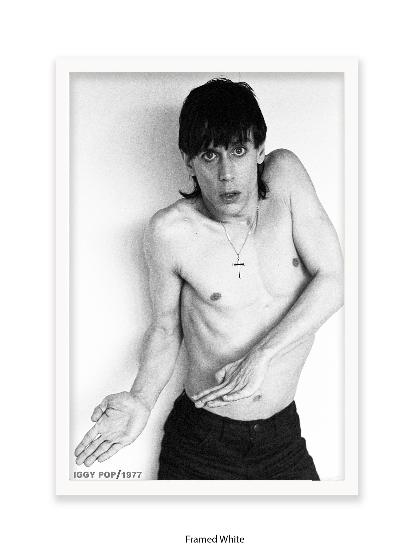 Iggy Pop - 1977 - Poster