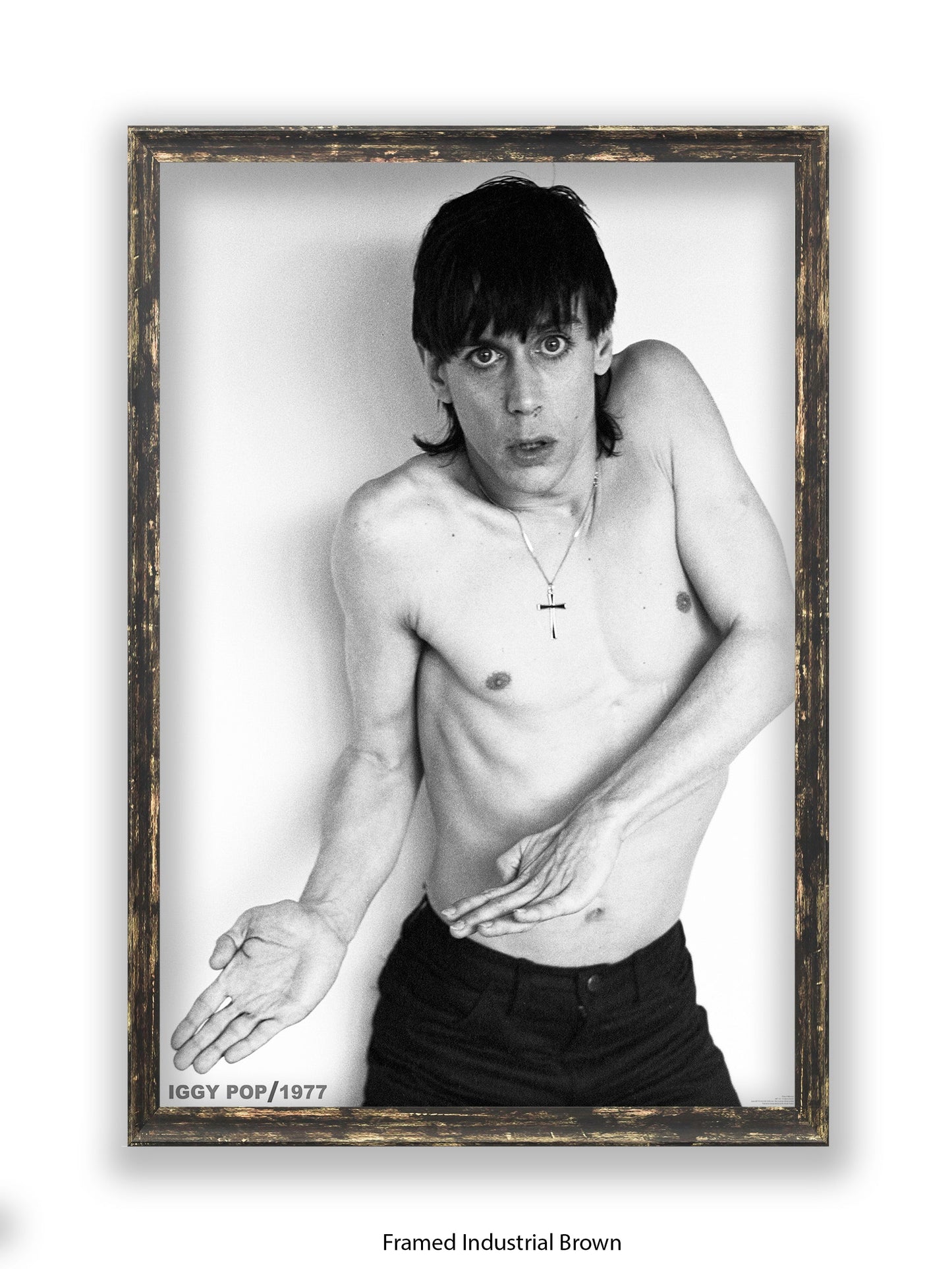 Iggy Pop - 1977 - Poster
