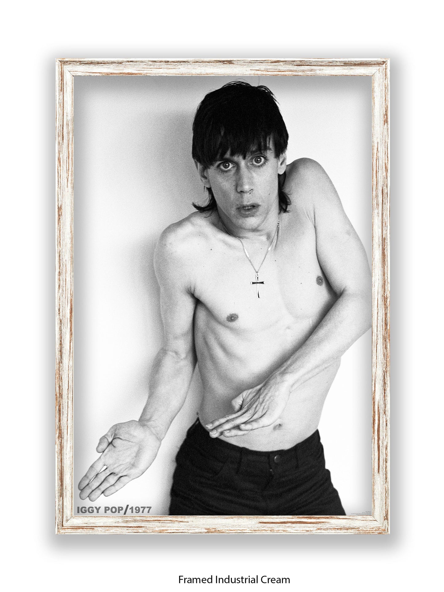 Iggy Pop - 1977 - Poster