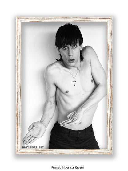 Iggy Pop - 1977 - Poster