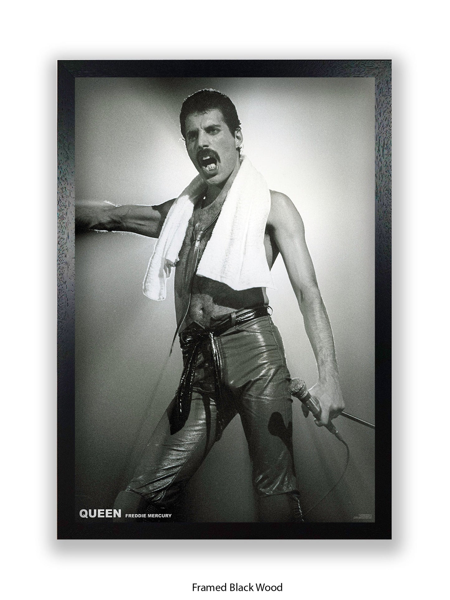 Queen - Freddie Mercury - Neck Towel - Poster