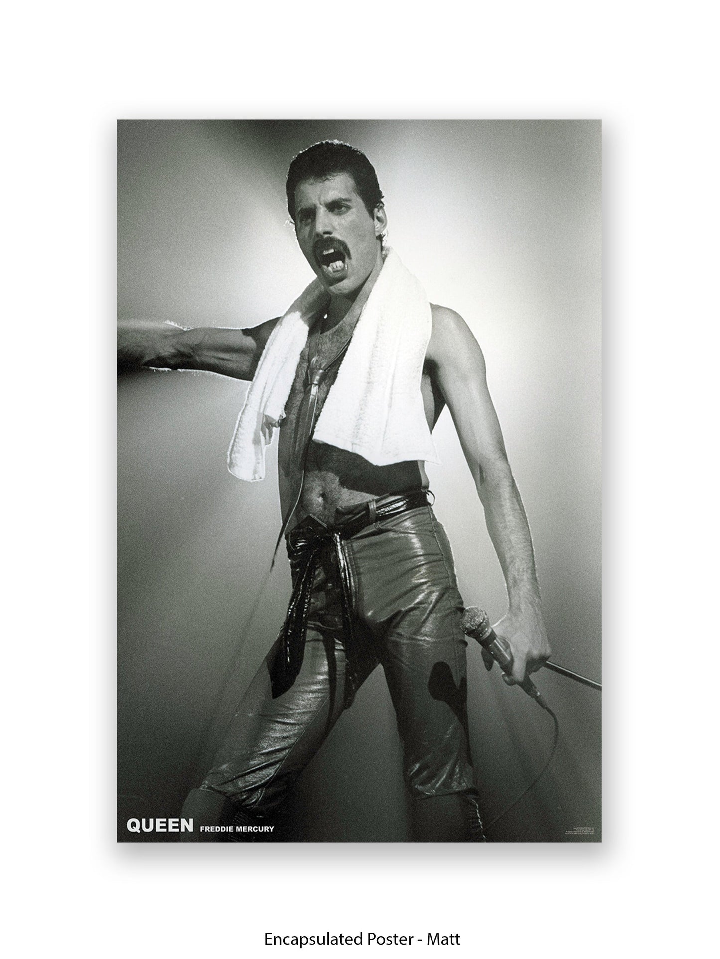 Queen - Freddie Mercury - Neck Towel - Poster