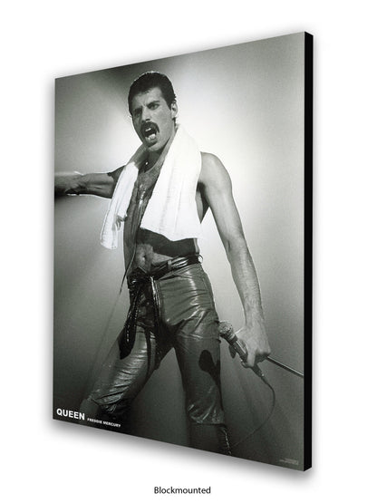 Queen - Freddie Mercury - Neck Towel - Poster