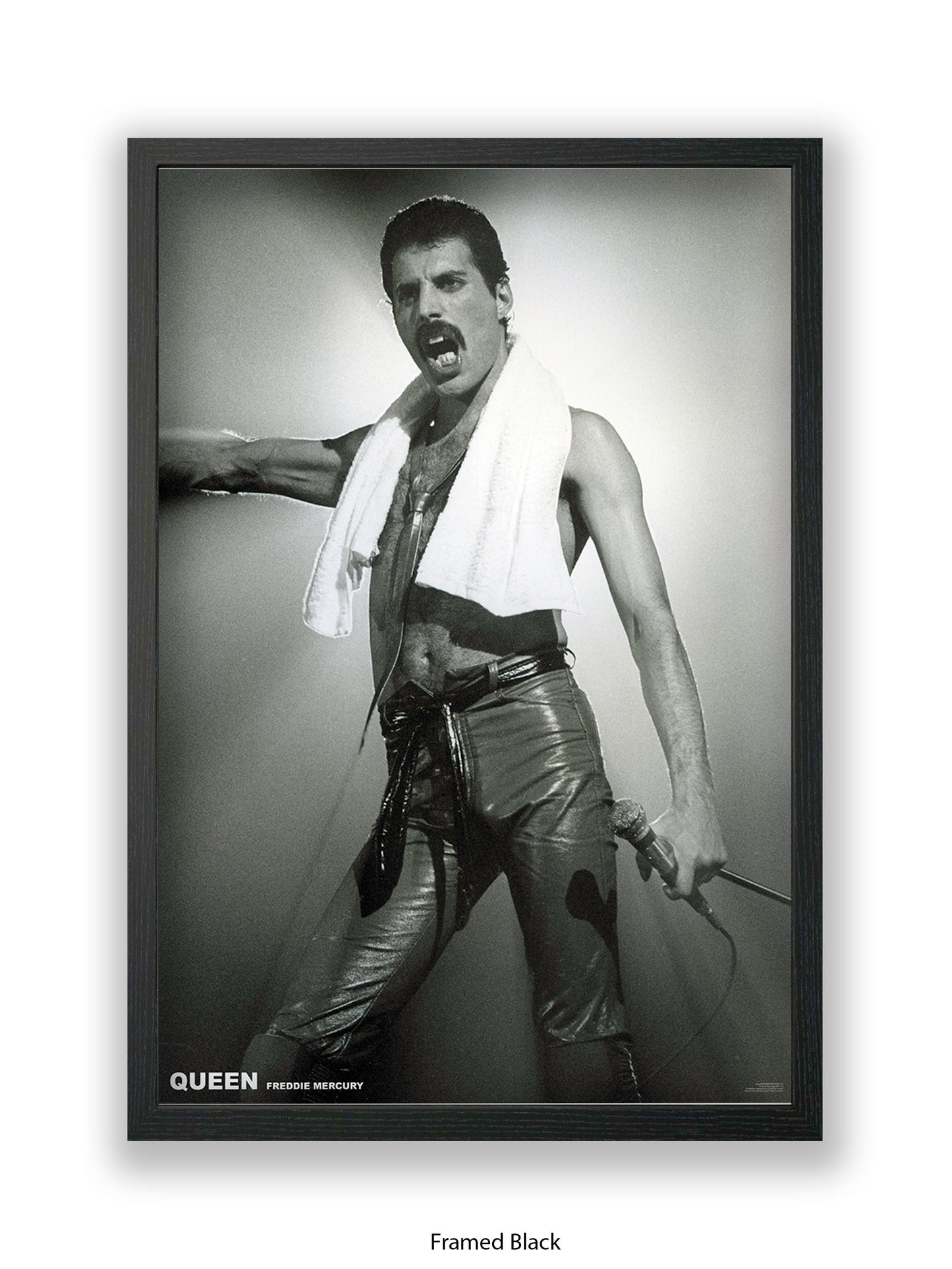 Queen - Freddie Mercury - Neck Towel - Poster