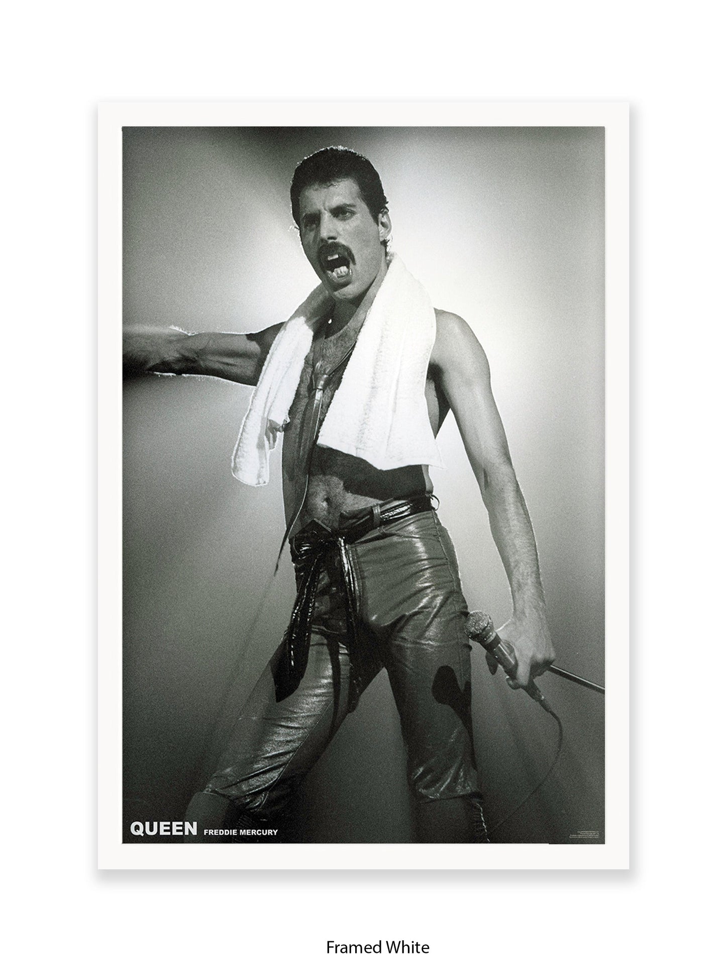 Queen - Freddie Mercury - Neck Towel - Poster
