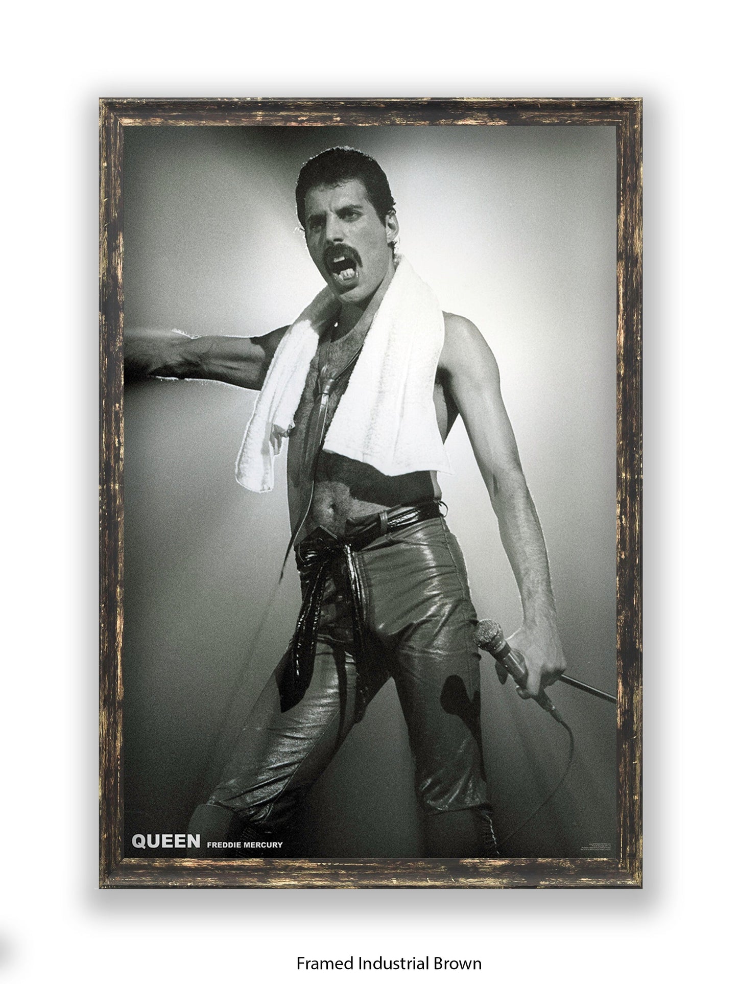 Queen - Freddie Mercury - Neck Towel - Poster