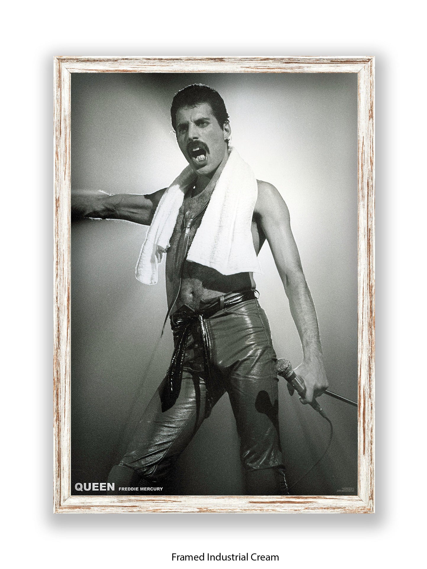 Queen - Freddie Mercury - Neck Towel - Poster