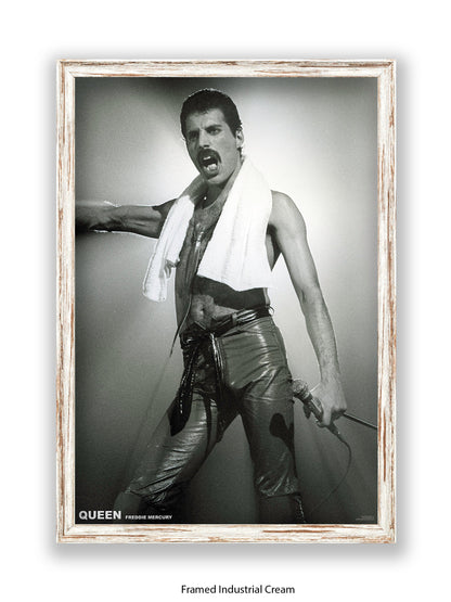 Queen - Freddie Mercury - Neck Towel - Poster
