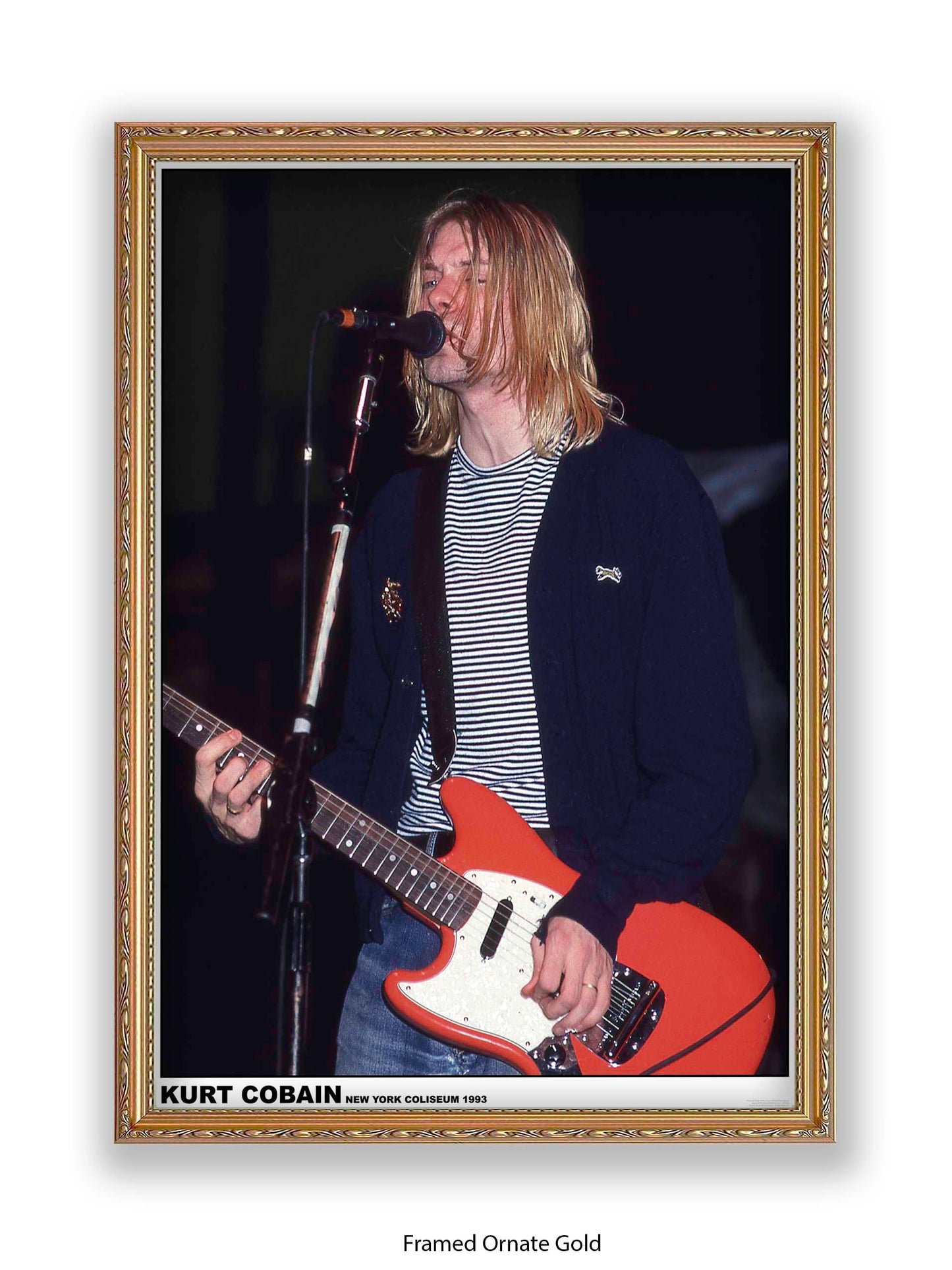 Nirvana - Kurt Cobain New York Coliseum 1993 - Poster