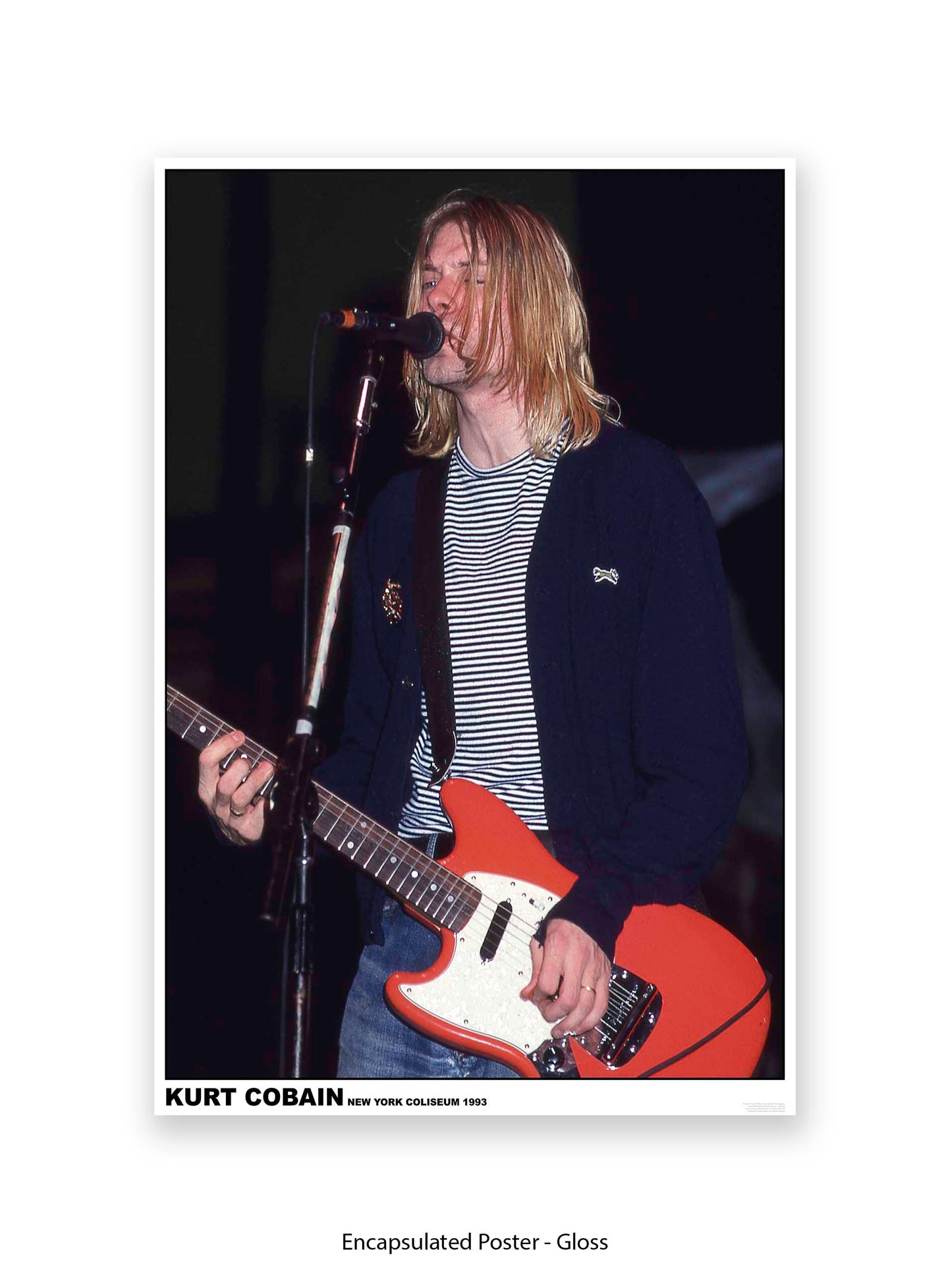 Nirvana - Kurt Cobain New York Coliseum 1993 - Poster