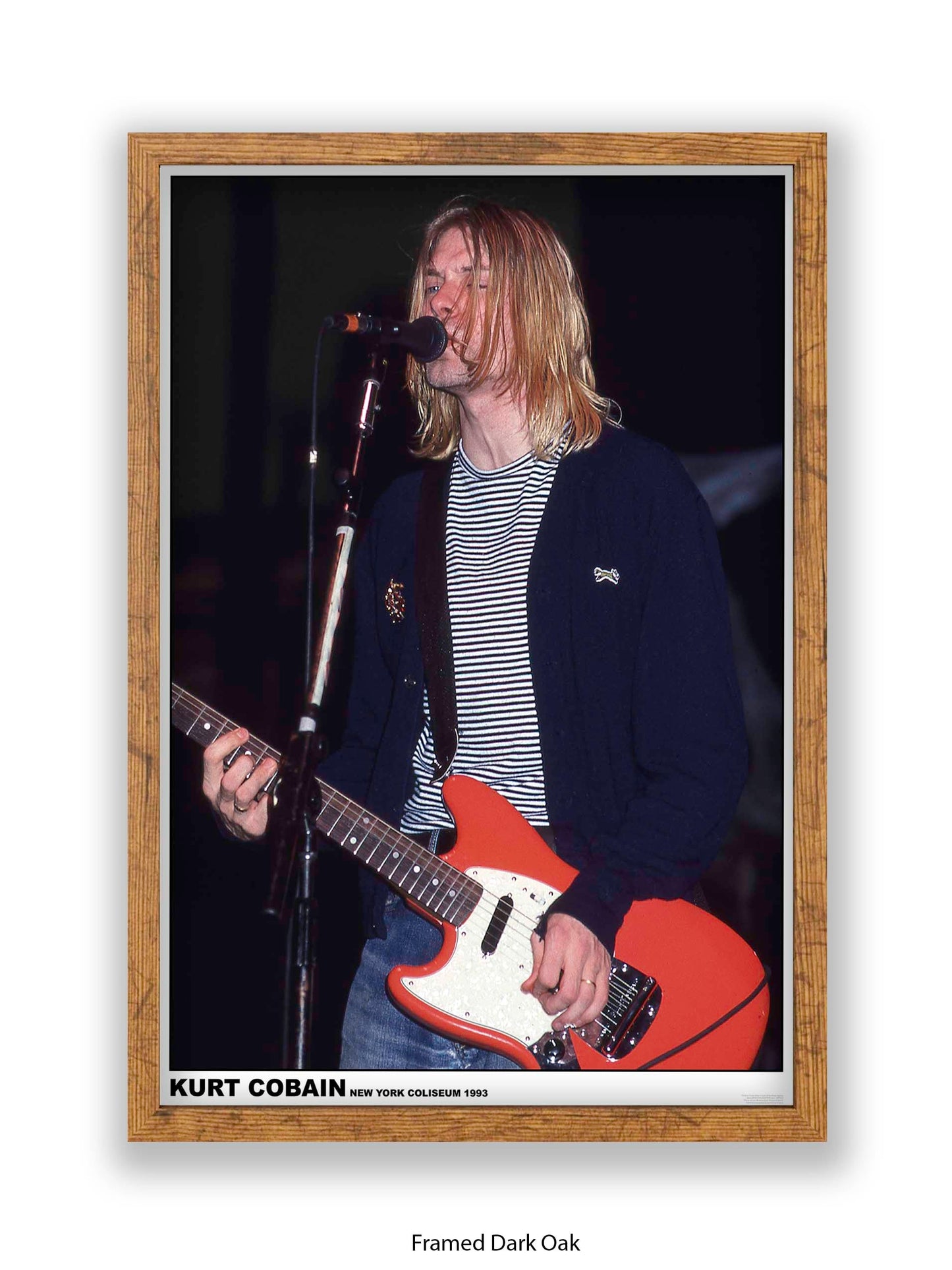 Nirvana - Kurt Cobain New York Coliseum 1993 - Poster