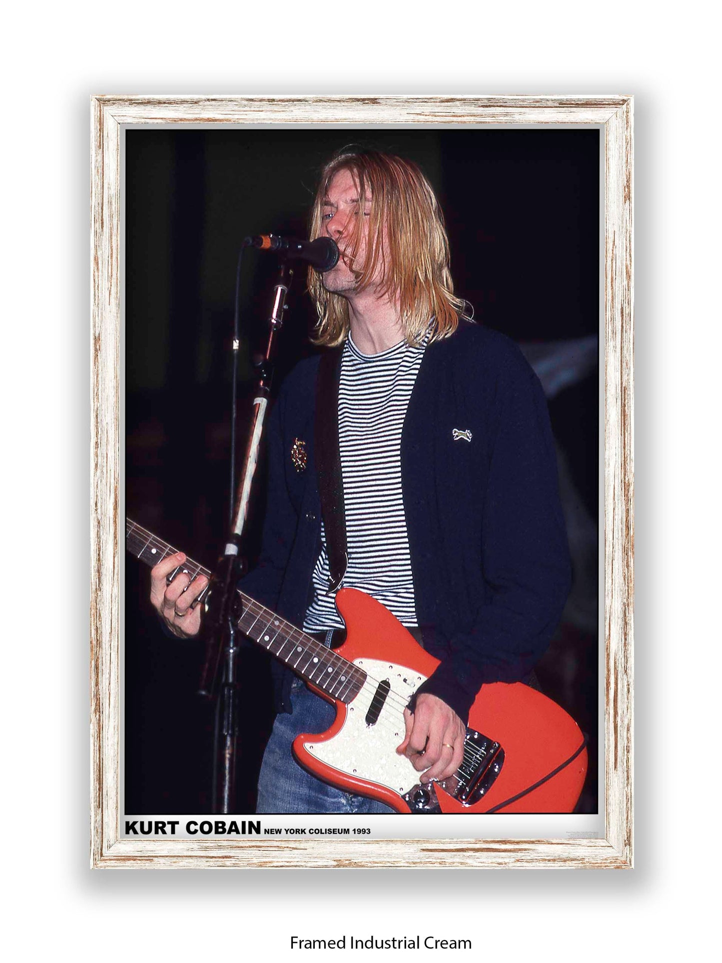 Nirvana - Kurt Cobain New York Coliseum 1993 - Poster