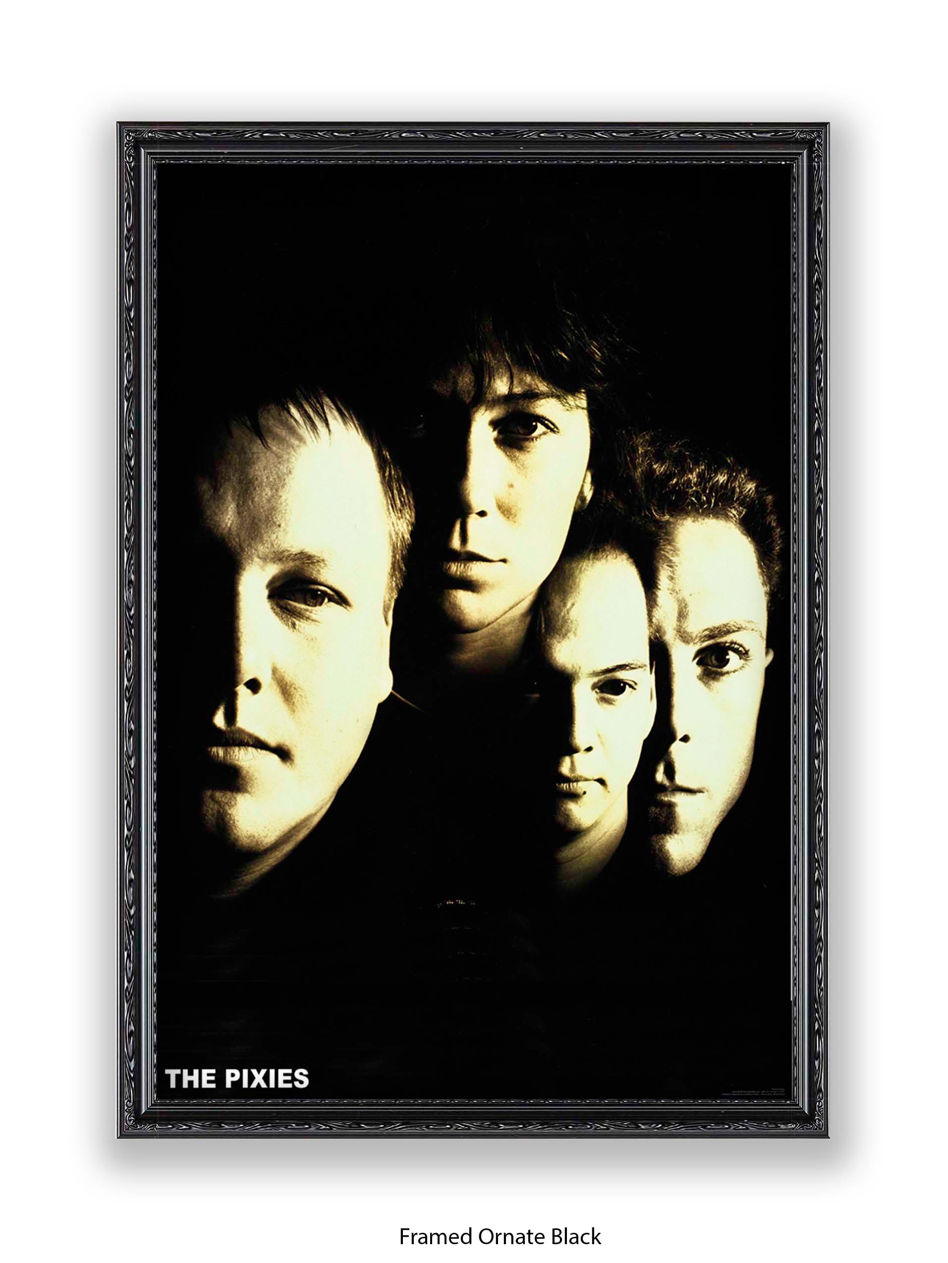 The Pixies- Alternative Rock Icon Poster - Doolittle Indie Band