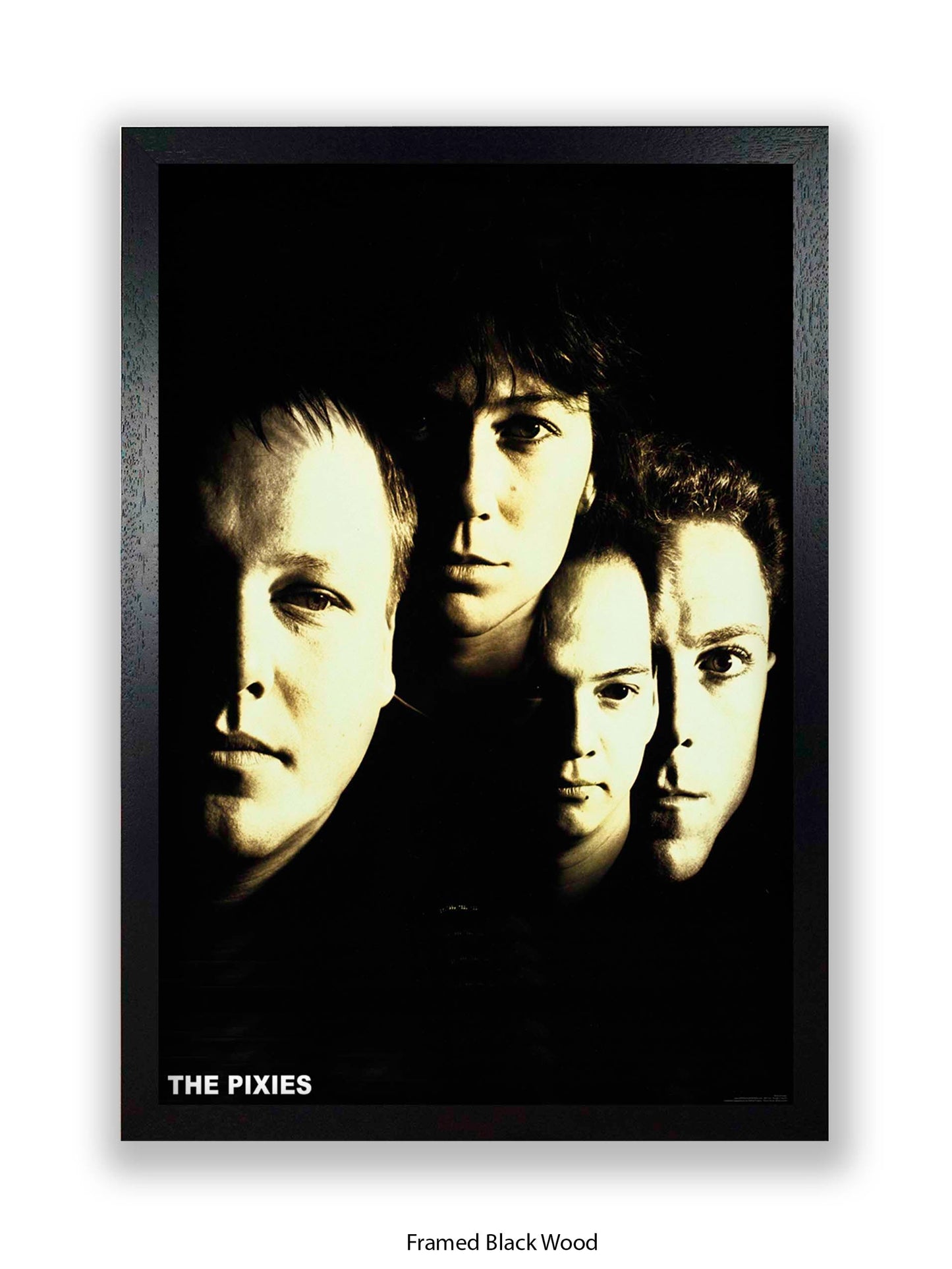 The Pixies - Poster