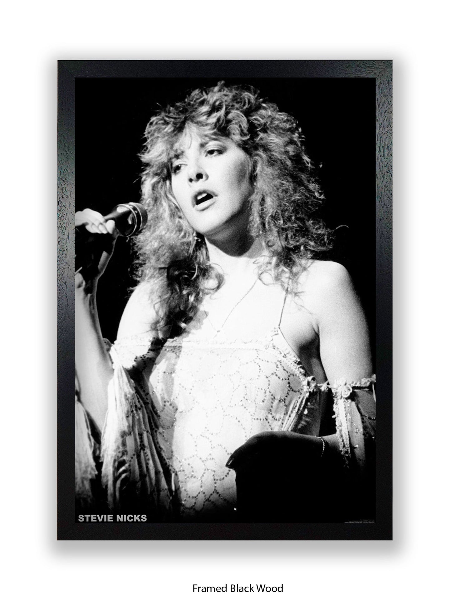 Stevie Nicks - Mic - Poster