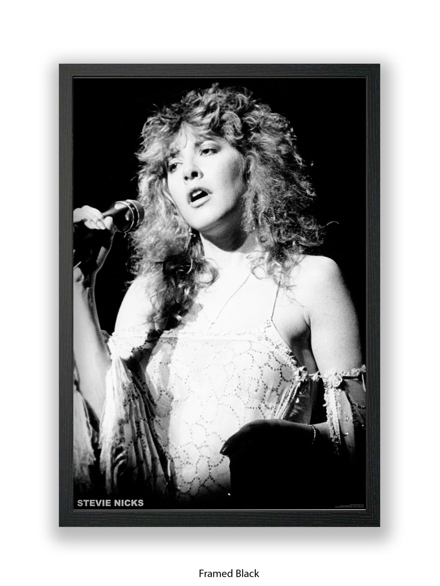 Stevie Nicks - Mic - Poster