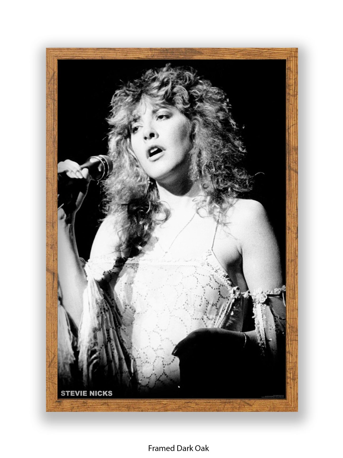 Stevie Nicks - Mic - Poster