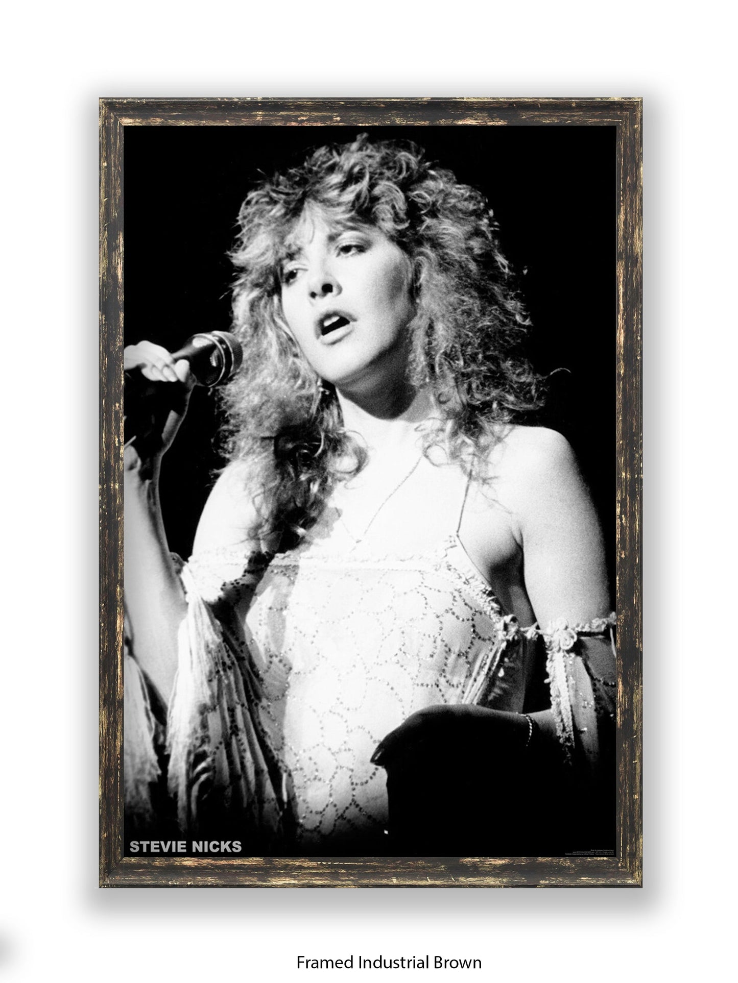 Stevie Nicks - Mic - Poster