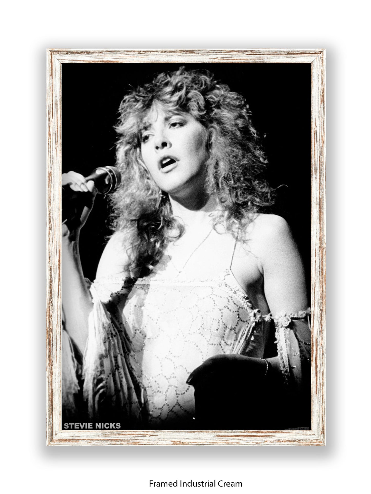 Stevie Nicks - Mic - Poster